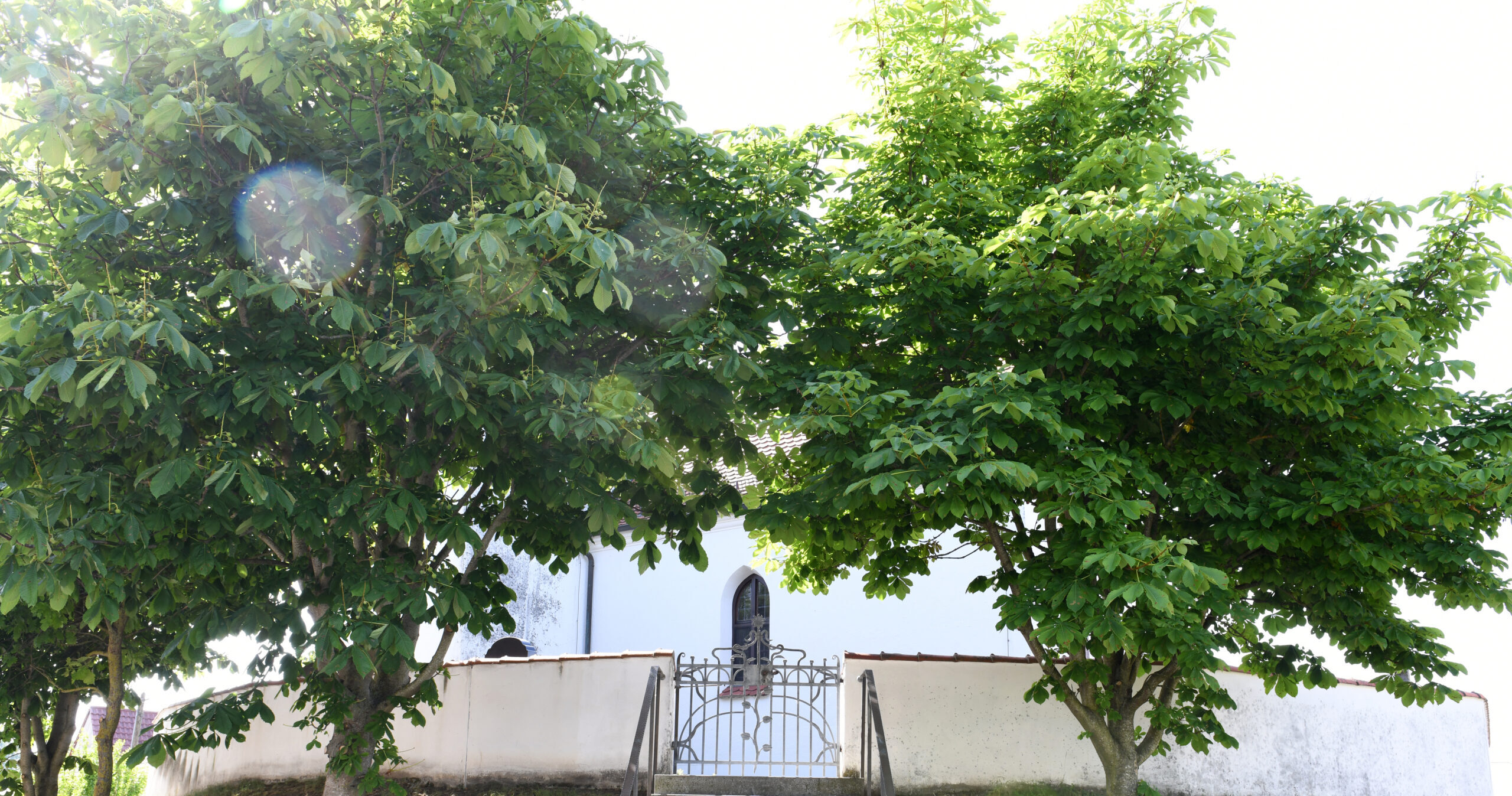 Ansicht Rohrenfels und Umgebung