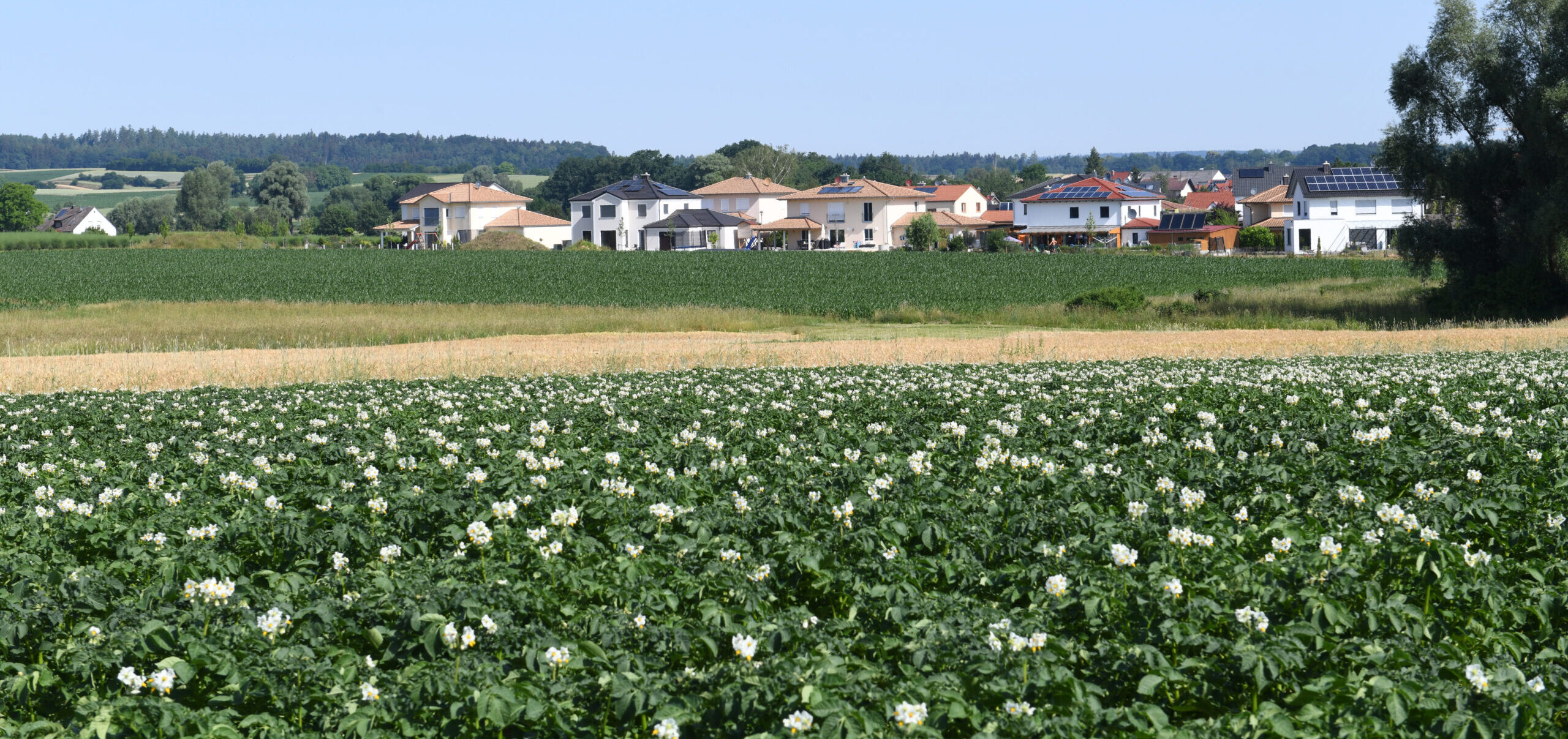 Ansicht Rohrenfels und Umgebung