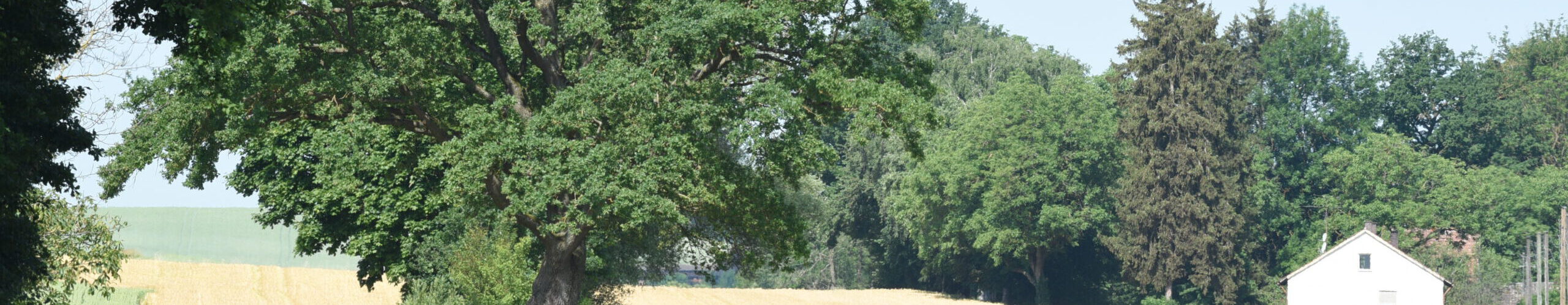 Ansicht Rohrenfels und Umgebung
